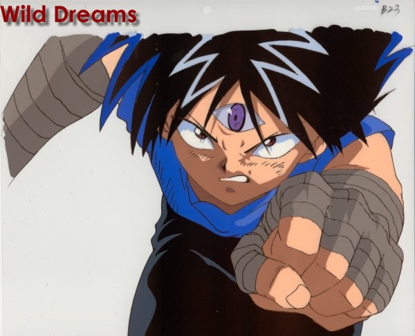 hiei-punch.jpg